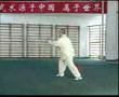 Yang Zhenduo - Sable estilo Yang