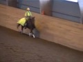 Freestyle Reining Emelie Lundström and whiz a Gangster