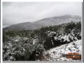 Paisagens com Neve (zona de loriga).wmv