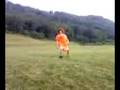 giant carrot