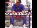 Shwarzenigga - Intro(Beograd Vietnam 2007)