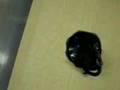 不死身のネズミ