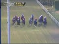 Hollywood Derby (GI) - November 29, 2009