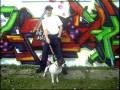 dj jp ssd 2.wmv