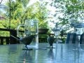 Heavenly Happy Valley Oregon Dream Home For Sale