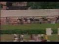 1973年プリークネスステークス　セクレタリアト