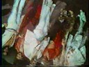 1978 Isley Brothers Showdown album commercial 1978 Isley Brothers Showdown album commercial
