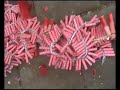 vuurwerk 2006/2007 illegaal aalsmeer mortier bompijl vuurwerk 2006/2007 illegaal aalsmeer mortier bompijl