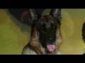  - MovieZen Video