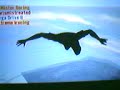 Crazy Hawk\