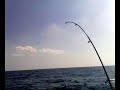 pesca de pargo