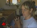 28 Beagles Rescued From Arizona Puppy Mill