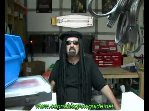 how to grow weed dvd