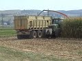 Ensilage mais