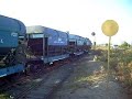 Loco 8 en Cruzamientos Peñuelas
