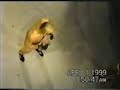 Chuck Liddell - 2 Rare Fights and He even Does a RNC