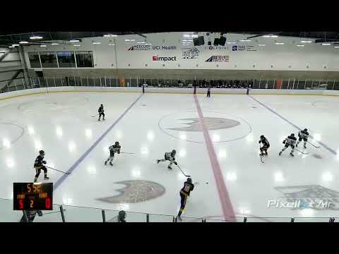 21024 Season - Dallas Stars Elite vs LA Kings 15O