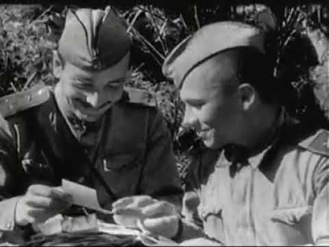 ������ �� 43-�� ����