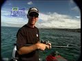 thefishingshow Mega Snapper nails live Kahawai