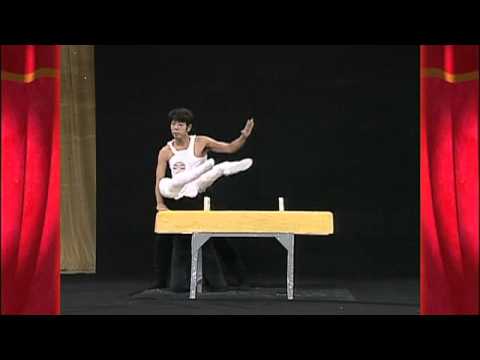 Ginástica artística à Japonesa