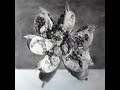 still life - Passion still life - Passion