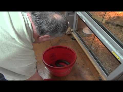 YouTube reptile video
