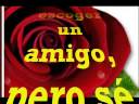 quispe020(paloma)