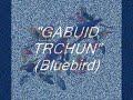 GABUID TRCHUN (Bluebird) - Conj. KUSAN - MIRTA SATDJIAN