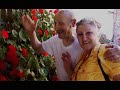 The Hippy Gourmet TV Show: Episode 82