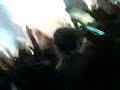 dizzee rascal-dance wiv me, live ironworks