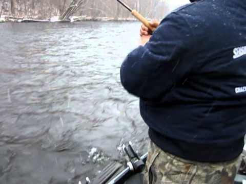 December Salmon River Steelhead