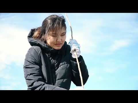 «Эмбамунайгаз» провел акцию «Посади дерево»   