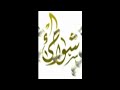 د. إبراهيم الدويّش في غرفة شبكة شواطئ الصوتية 1|3