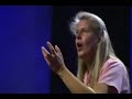My stroke of Insight 2/2- Spanish subtitled