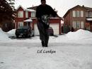 tcw-cwalk-4way-dreaming.html