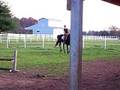 Lex Cantering U/S- 11/7/08
