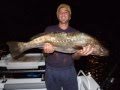 JEWFISH CAPTAIN COOK BRIDGE MULLOWAY