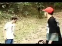 Comportamento Kamikaze (parte 1)