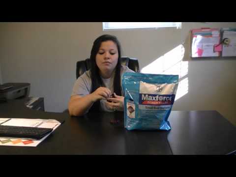 how to control roaches