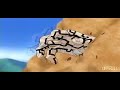 Garaa vs. Kimimaru