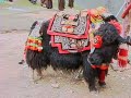 BBtv World: Ancient hermit monk caves of Tibet