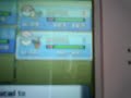 EV training Speed (Pokemon Diamond Pearl)