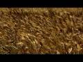 MENOS teaser trailer