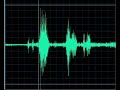 EVP EVP