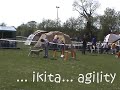 ikita agility été 2008