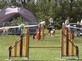 ikita agility �t� 2008