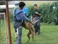 Spratly K9\