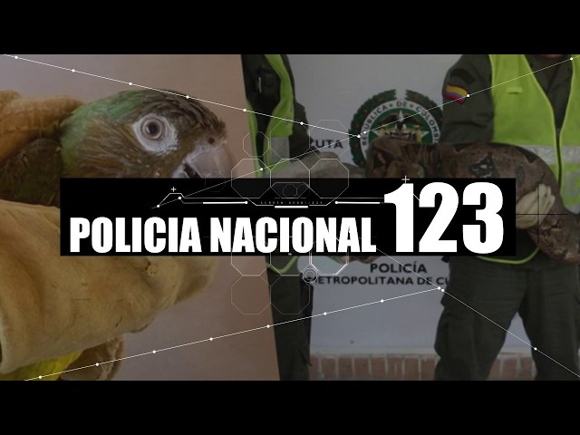 No al tráfico de Fauna Silvestre
