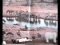 Los payos en Africa - Stop motion