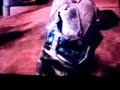 warthog stunt warthog stunt